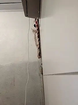 Lucastranzao online show from 04-10-26, 09:00