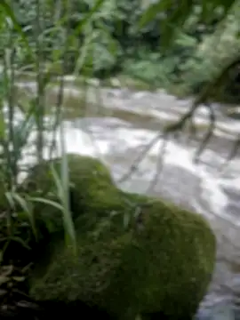 adam-rivera online show from 11-17-25, 08:35