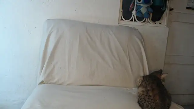 pervertsteens3 online show from 10-24-25, 04:55