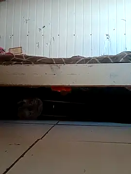 Snapshot of frotasso chatting on 04-02-26, 12:01 frotasso online show from 04-02-26, 12:01