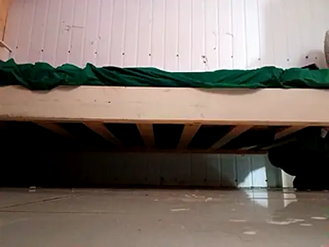 frotasso online show from 01-31-25, 12:40