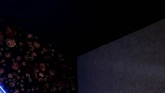 ArtemisaBlake online show from 03-15-25, 07:48