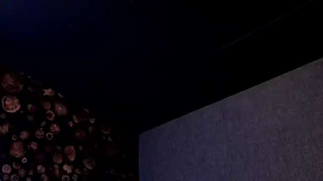 ArtemisaBlake online show from 03-18-25, 08:05