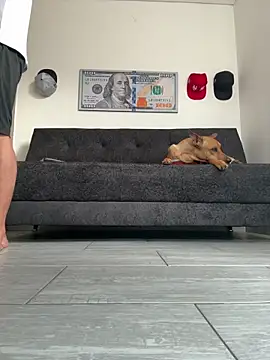 Snapshot of boss_of_cash chatting on 02-27-26, 12:16 boss of cash online show from 02-27-26, 12:16