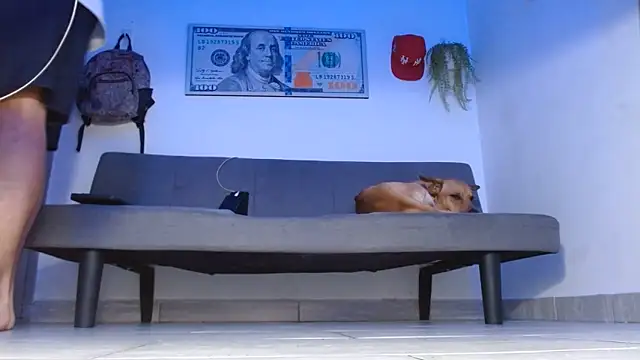Snapshot of boss_of_cash chatting on 05-14-26, 12:07 boss of cash online show from 05-14-26, 12:07