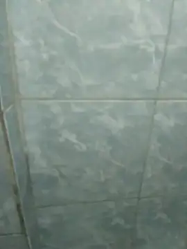 Pretordr online show from 03-12-25, 12:42