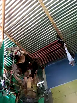 Snapshot of thamygomezz chatting on 09-09-25, 04:49 thamygomezz online show from 09-09-25, 04:49