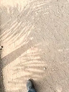 chootkapyasa007 online show from 10-29-25, 06:56