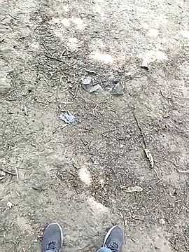 chootkapyasa007 online show from 10-15-25, 07:27