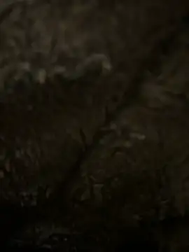 Snapshot of hamoo23p chatting on 02-22-26, 02:47 hamoo23p online show from 02-22-26, 02:47