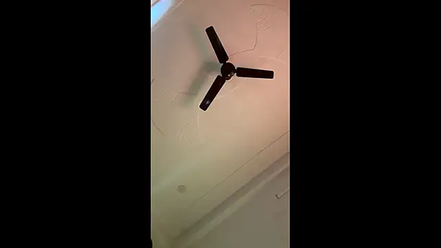 Lush puja online show from 11-04-25, 07:01