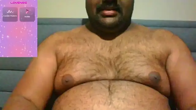 indianbearbot online show from 11-06-25, 08:57