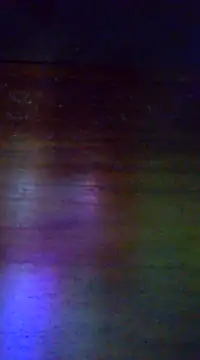 TOMYCOCKMILK online show from 12-21-24, 11:02