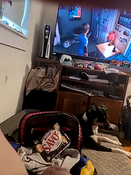 biggnipz online show from 11-07-25, 05:34