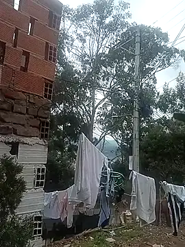 chayanne odisea online show from 03-12-26, 06:01