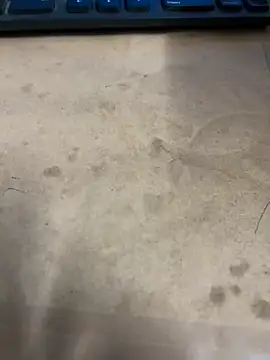 Hillz king 98 online show from 01-03-25, 12:33