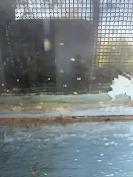 Hillz king 98 online show from 02-11-25, 09:20