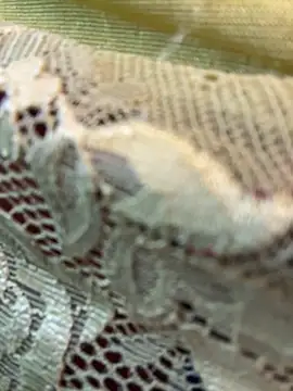 honeyboobies7249 online show from 02-22-26, 07:37