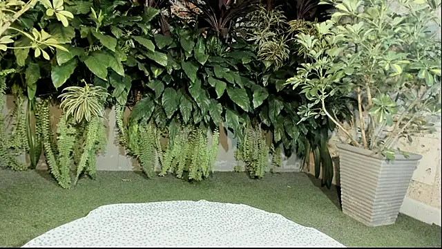 loladupont online show from 09-10-25, 03:05