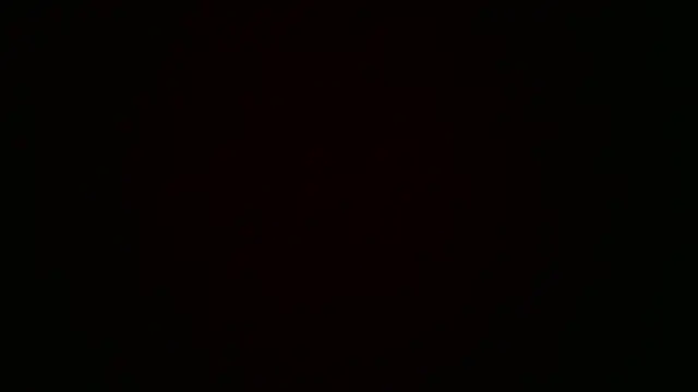 SilverandFox online show from 03-22-25, 03:09