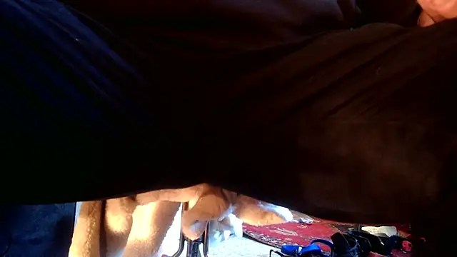 SilverandFox online show from 09-10-25, 05:45