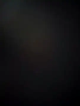 Snapshot of bidex002 chatting on 03-05-25, 10:33 bidex002 online show from 03-05-25, 10:33