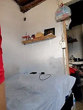 gatoalex89 online show from 01-09-26, 05:31