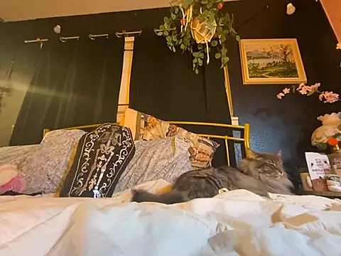 Spacetrvin online show from 01-06-25, 01:31