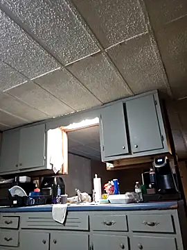 zaneporter46 online show from 11-25-25, 01:11