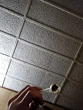 zaneporter46 online show from 10-21-25, 07:30