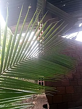 Snapshot of Andres123cv chatting on 12-18-25, 09:18 Andres123cv online show from 12-18-25, 09:18