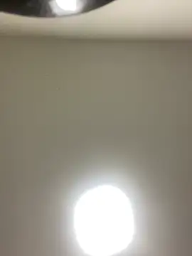 Lexi Belle  online show from 01-12-25, 02:56