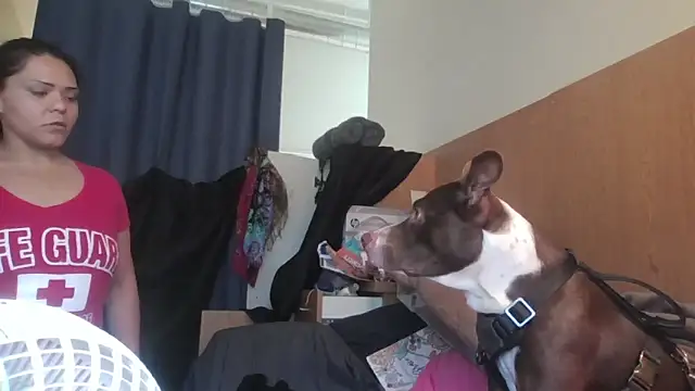 Dnasty408 online show from 11-07-25, 08:13