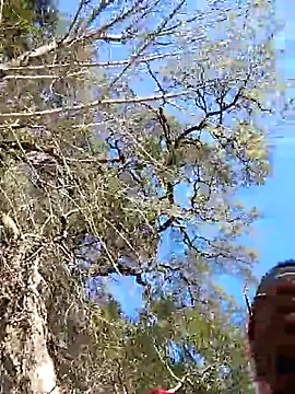 VelvetChocolate7 online show from 02-24-26, 08:31