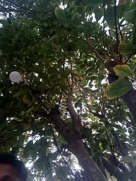 Snapshot of carria_homes chatting on 02-20-25, 05:09 carria homes online show from 02-20-25, 05:09