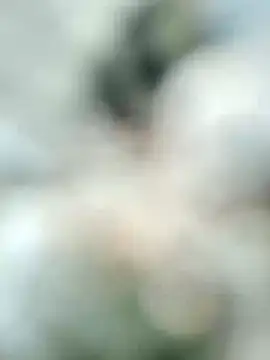 Snapshot of carria_homes chatting on 02-19-25, 11:17 carria homes online show from 02-19-25, 11:17