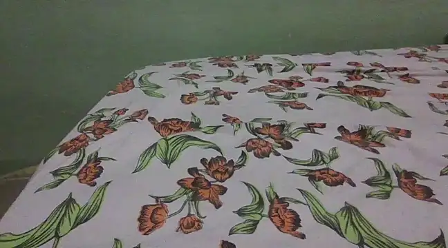 Snapshot of mlkpiranho25 chatting on 01-30-25, 03:40 mlkpiranho25 online show from 01-30-25, 03:40