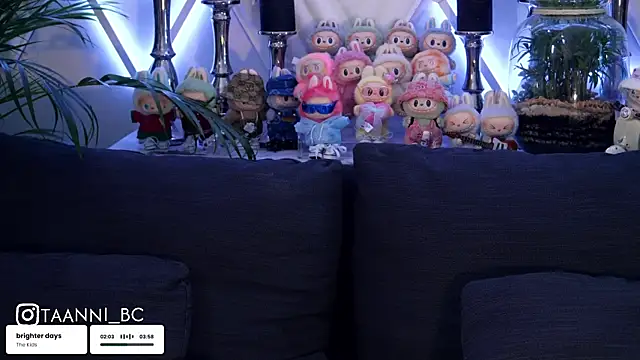 taanni bc online show from 10-09-25, 07:31