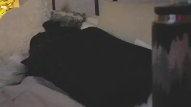 ivynyxx online show from 03-16-26, 09:39