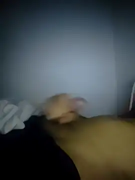 fredfgr online show from 02-09-26, 12:52