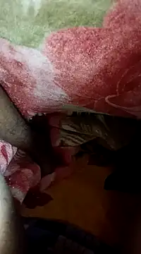 biharihot online show from 12-31-24, 04:57