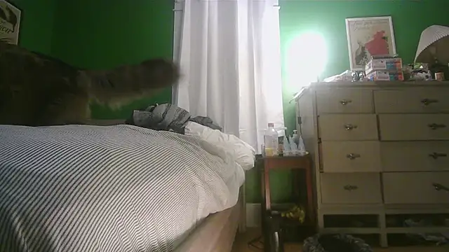 SadCatDaddy online show from 02-15-26, 11:31