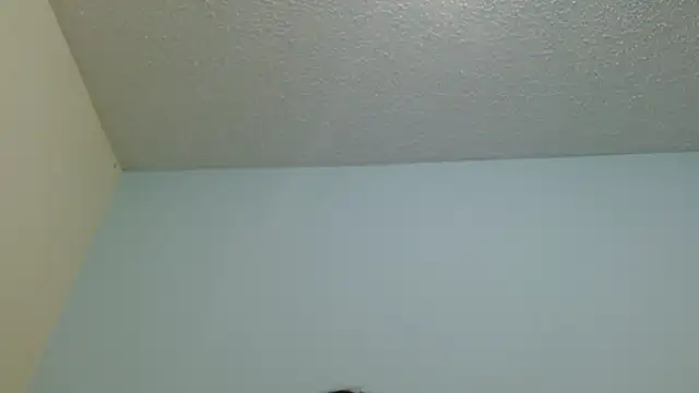 boobsTaylor online show from 02-12-26, 07:19