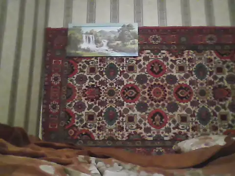 AlferezzSolvajo online show from 12-02-25, 06:09