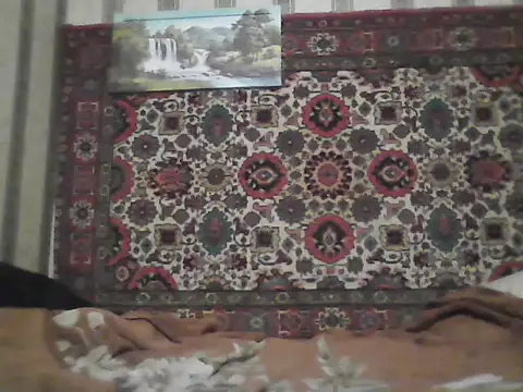 AlferezzSolvajo online show from 11-20-25, 08:31