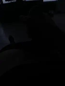 coreyl9718 online show from 02-13-25, 04:39