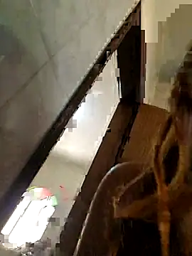 Snapshot of AliceRuivinha2 chatting on 10-18-25, 03:03 AliceRuivinha2 online show from 10-18-25, 03:03