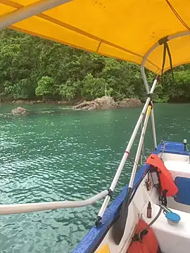 Snapshot of GoloZeusMax chatting on 03-19-25, 08:00 GoloZeusMax online show from 03-19-25, 08:00