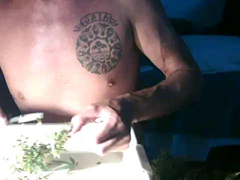 Snapshot of GoloZeusMax chatting on 03-14-25, 12:32 GoloZeusMax online show from 03-14-25, 12:32