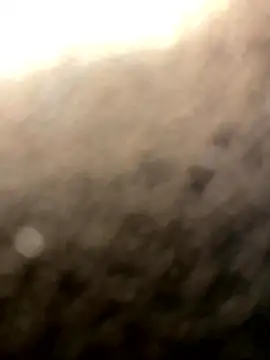 BLACKTRANS ZA online show from 04-03-26, 09:21